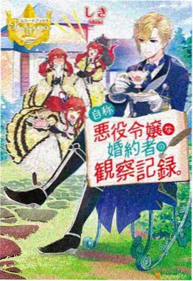 苔原纪行 势力枝叶与境界年轮对照图