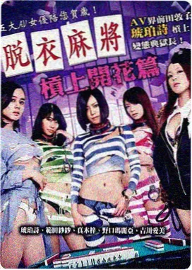 境界体系阶梯说明重写示意封面
